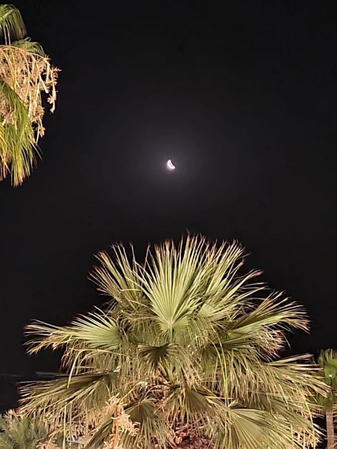 לרנקה Alex Beach Apartment 31 מראה חיצוני תמונה