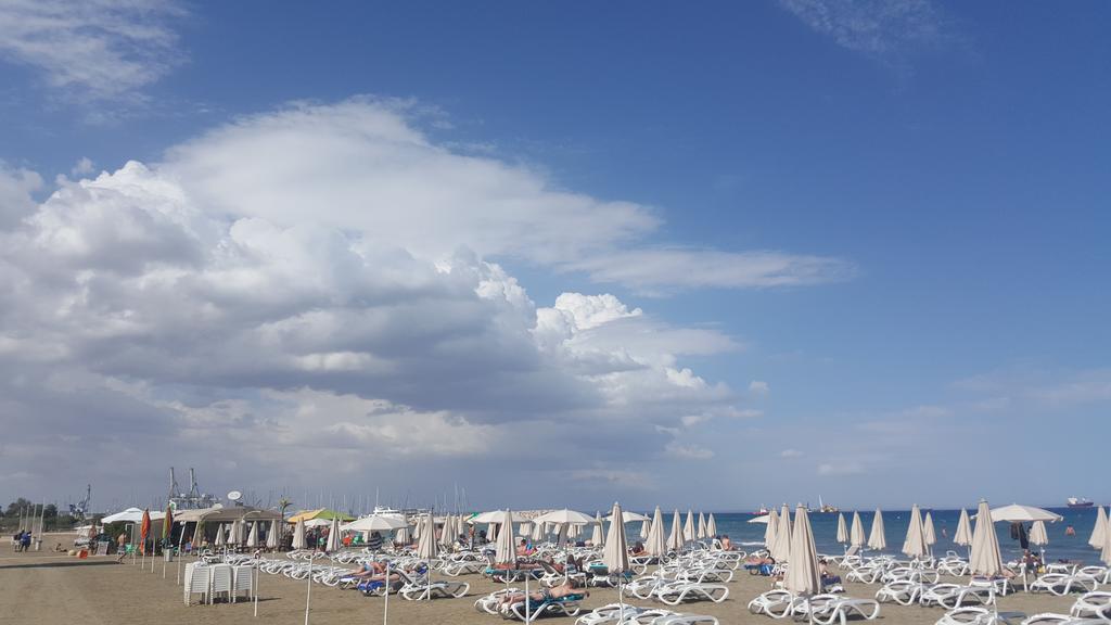 לרנקה Alex Beach Apartment 31 מראה חיצוני תמונה