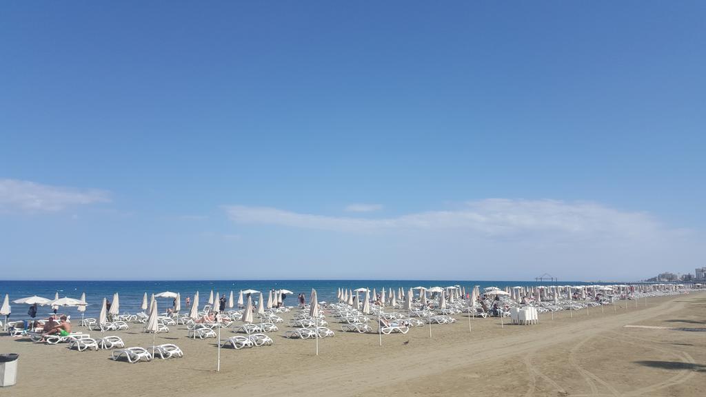 לרנקה Alex Beach Apartment 31 מראה חיצוני תמונה